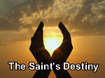 The Saint’s Destiny
